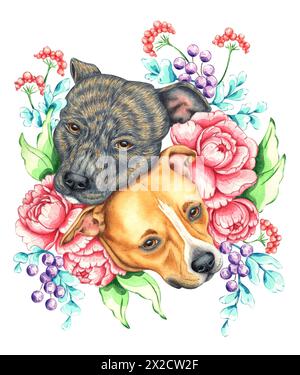 Aquarellillustration von zwei Hunden, Staffordshire Terrier, in Blumen und Beeren, rosa Pfingstrosen, blauen Beeren, grünen Blättern. Isoliert vom Backgr Stockfoto