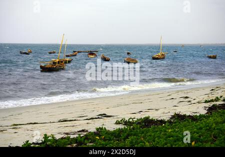 Angeldaus liegen in der Nähe der Küste mit einem weißen Sandstrand und Gras im Vordergrund Stockfoto