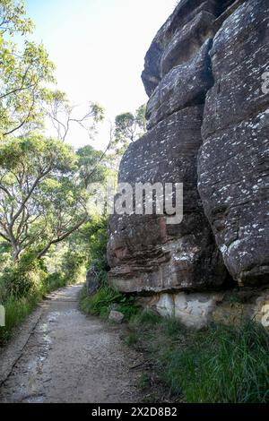 Wanderweg auf der Landzunge Barrenjoey führt zum Leuchtturm Barrenjoey, Sydney, NSW, Australien Stockfoto