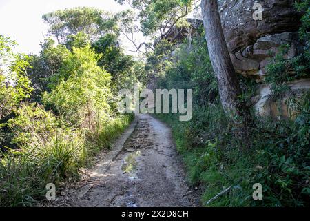 Wanderweg auf der Landzunge Barrenjoey führt zum Leuchtturm Barrenjoey, Sydney, NSW, Australien Stockfoto