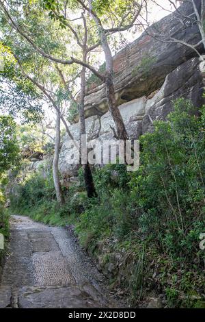 Wanderweg auf der Landzunge Barrenjoey führt zum Leuchtturm Barrenjoey, Sydney, NSW, Australien Stockfoto