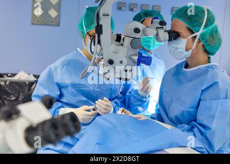 Chirurgen, chirurgische Eingriffe der Augen, Grauer Star, Operationssaal der Augenheilkunde, Krankenhaus Donostia, San Sebastian, Gipuzkoa, Baskenland, Sp Stockfoto