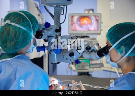 Chirurgen, chirurgische Eingriffe der Augen, Grauer Star, Operationssaal der Augenheilkunde, Krankenhaus Donostia, San Sebastian, Gipuzkoa, Baskenland, Sp Stockfoto