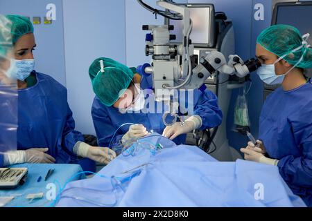 Chirurgen, chirurgische Eingriffe der Augen, Grauer Star, Operationssaal der Augenheilkunde, Krankenhaus Donostia, San Sebastian, Gipuzkoa, Baskenland, Sp Stockfoto