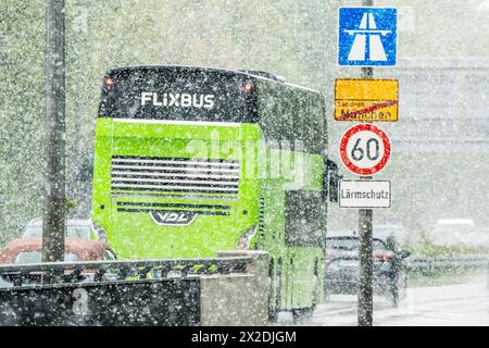 FlixBus auf der Autobahn A95 bei Schneefall, München, 21. April 2024 Deutschland, München, 21. April 2024, Wintereinbruch, Flixbus fährt im Schneetreiben auf der Autobahn A 95 München-Garmisch, Autobahnbeginn in München-Sendling, stadtauswärts, dicke Schneeflocken bei Temperaturen um die 2 Grad, schlechte Sicht, Glättegefahr, Winterwetter im Frühling, Verkehr, Aprilwetter, Schnee, Bayern, *** Flixbus auf der Autobahn A95 bei Schneefall, München, 21. April 2024 Deutschland, München, 21. April 2024, Beginn des Winters, Flixbus fährt im Schnee auf der A95 München-Garmisch, Autobahnstart in München Sendlin Stockfoto