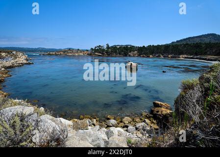 The Whaler's Cove im Point Lobos State Reserve in Kalifornien, USA Stockfoto