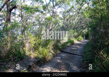 Barrenjoey Headland, Wanderweg, der zum Leuchtturm Barrenjoey führt, zum Nationalpark Ku-Ring-gai Chase, Plam Beach in Sydney, Australien Stockfoto