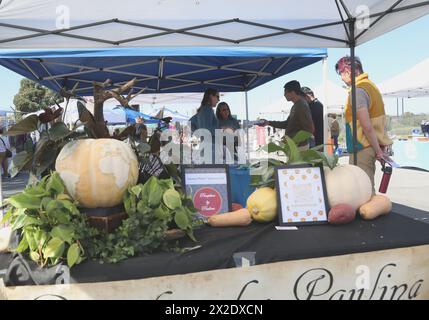 San Francisco, USA. April 2024. Die Besucher nehmen am 21. April 2024 am San Francisco Earth Day Festival in San Francisco, USA, Teil. Quelle: Liu Yilin/Xinhua/Alamy Live News Stockfoto