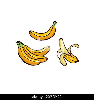 Bananenvektor-Illustration Symbolsatz. Obstsymbol-Vektor Stock Vektor