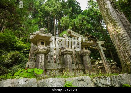 Der Friedhof am Mount Koyasan, UNESCO-Weltkulturerbe, Japan. Stockfoto