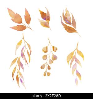 Set von Herbstblättern Aquarellillustration. Handgezeichnete Zweige auf einem isolierten Hintergrund. Stockfoto