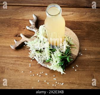 Flasche Holunderblüten-Cordial umgeben von weißen Holunderblüten oder Holunderblüten. Frühlingsgetränk der Holunderblüten, typisch für die nordischen Länder. Draufsicht Stockfoto