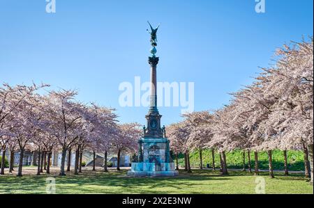 Rosa Sakura oder Kirschbäume in der Blüte im Kopenhagener Langelinieparken mit der Engelsstatue für die Gefallenen im Krieg. Langelinie Park Engelsdenkmal Stockfoto