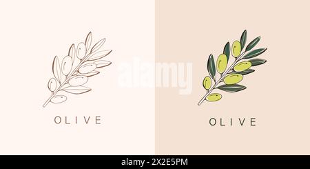 Monogramm und Logo mit Olivenzweig im modernen Minimal Liner-Stil. Vektor-Vorlage mit Blumenmuster. Botanische rustikale Illustration. Stockfoto