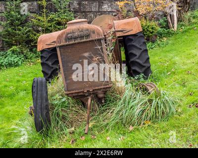 Das Bild zeigt einen verlassenen Fordson-Traktor, der als Zusammenarbeit zwischen Ford und Massey Ferguson gebaut wurde, daher der Sohn. Stockfoto