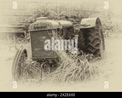 Das Bild zeigt einen verlassenen Fordson-Traktor, der als Zusammenarbeit zwischen Ford und Massey Ferguson gebaut wurde, daher der Sohn. Stockfoto