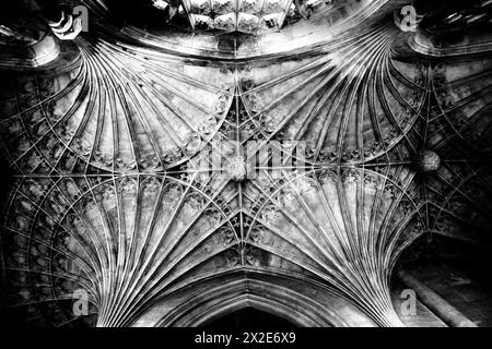 Detail des Fächergewölbes auf dem Dach der Kathedrale. Stockfoto