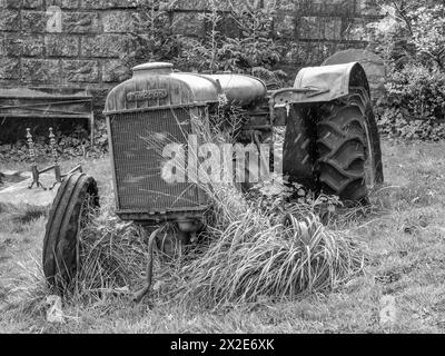 Das Bild zeigt einen verlassenen Fordson-Traktor, der als Zusammenarbeit zwischen Ford und Massey Ferguson gebaut wurde, daher der Sohn. Stockfoto