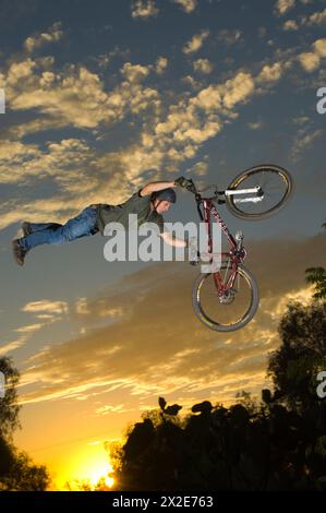 Mann springt auf seinem Mountainbike bei John Cowans Dirt jumps in San Marcos, Kalifornien Stockfoto