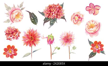 Set von Aquarellblumen in Terrakotta-Farbe. Blühende Hortensie und Dahlien auf isoliertem Hintergrund. Herbstlich gezeichnetes Clipart für Design. Stockfoto