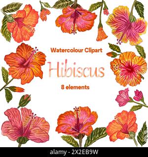 Sammlung von Blumen Hibiscus Stockfoto