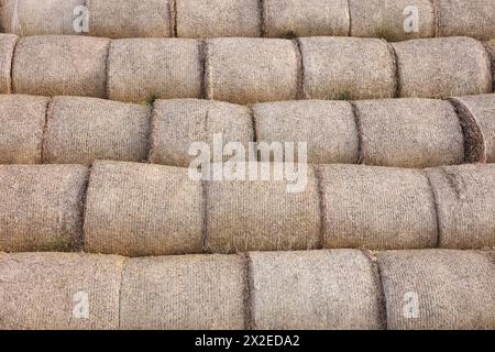 Viele Heuballen als Hintergrund, Nahaufnahme Stockfoto