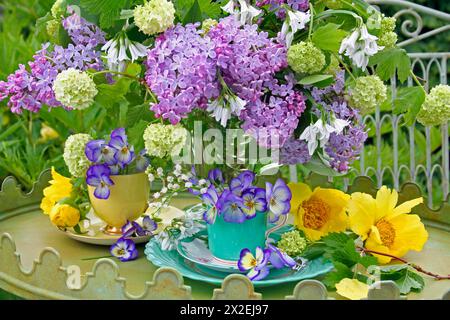 BOTANIK, ADDITIONAL-RIGHTS-CLEARANCE-INFO-NOT-AVAILABLE Stockfoto