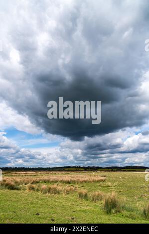 Rickney Marshes, East Sussex, England, mit dramatisch bewölktem Himmel und Sonnenschein, auf dem Country Walk 1066 Stockfoto