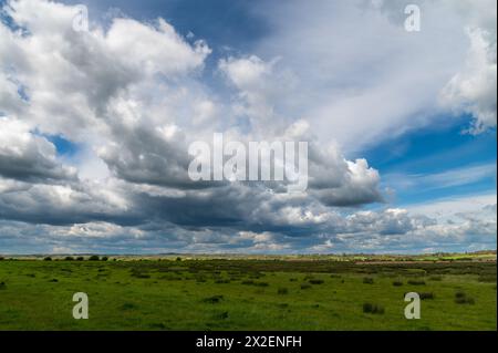 Rickney Marshes, East Sussex, England, mit dramatisch bewölktem Himmel und Sonnenschein, auf dem Country Walk 1066 Stockfoto