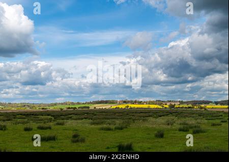 Rickney Marshes, East Sussex, England, mit dramatisch bewölktem Himmel und Sonnenschein, auf dem Country Walk 1066 Stockfoto