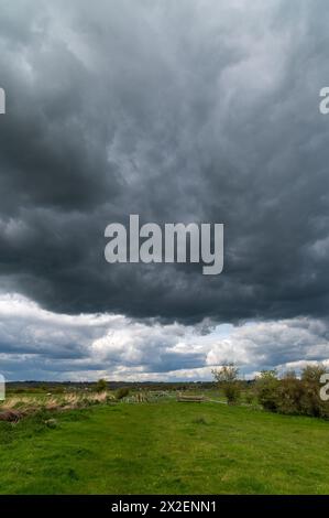 Rickney Marshes, East Sussex, England, mit dramatisch bewölktem Himmel und Sonnenschein, auf dem Country Walk 1066 Stockfoto