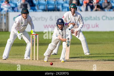 Derbyshires Wayne Madsen spielte in einem Spiel der Vitality County Championship gegen Leicestershire Stockfoto