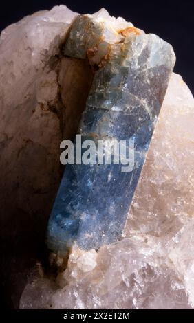 Blauer Turmalin-Kristall, stammt aus Sardegna, Italien. Stockfoto