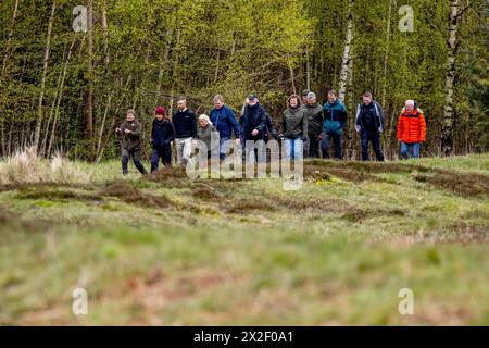 Hannenov Forest, Nykoebing Falster., Dänemark. April 2024. Königin Maria eröffnet Wanderweg im Hannenov-Wald am Falster, Montag, 22. April 2024. Der Hannenov-Wald auf Falster hat einen neuen markierten Wanderweg von 5 km Länge, der Virketvolden Round genannt wird. Die Tour schlängelt sich vorbei an einem Wall aus der Eisenzeit und alten Eichen. (Foto: Ingrid Riis/Scanpix 2024) Credit: Ritzau/Alamy Live News Stockfoto