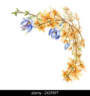 Anordnung von gelben und blauen Frühlingsblumen Aquarellillustration isoliert auf weiß. Die Zusammensetzung der handgezeichneten Krokus- und Forsythienblüten. Flor Stockfoto