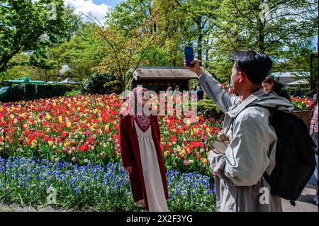 Eine muslimische Frau posiert für ein Foto vor Tulpen. Keukenhof ist auch als der Garten Europas bekannt, einer der größten Blumengärten der Welt und befindet sich in Lisse.Niederlande.während der fast acht Wochen geöffnet, werden weit über 1,4 Millionen Menschen aus der ganzen Welt die Ausstellung besuchen. Zusätzlich zu den Millionen von Tulpen, Narzissen und Hyazinthen im Park sind die Blumenshows in den Pavillons größer und schöner geworden. (Foto: Ana Fernandez / SOPA Images/SIPA USA) Stockfoto
