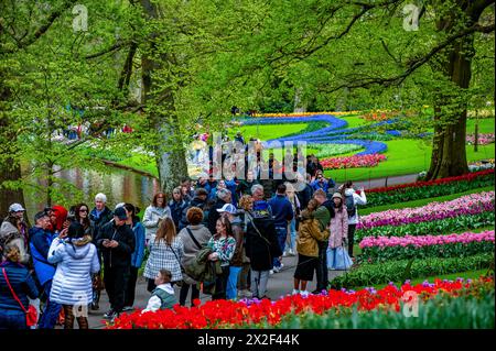 Lisse, Niederlande. April 2024. Man sieht Menschen, die den Garten besuchen. Keukenhof ist auch als der Garten Europas bekannt, einer der größten Blumengärten der Welt und befindet sich in Lisse.Niederlande.während der fast acht Wochen geöffnet, werden weit über 1,4 Millionen Menschen aus der ganzen Welt die Ausstellung besuchen. Zusätzlich zu den Millionen von Tulpen, Narzissen und Hyazinthen im Park sind die Blumenshows in den Pavillons größer und schöner geworden. (Foto: Ana Fernandez/SOPA Images/SIPA USA) Credit: SIPA USA/Alamy Live News Stockfoto