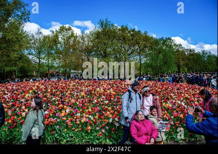 Man sieht Menschen, die Fotos vor einem großen Kreis aus verschiedenen Tulpen machen. Keukenhof ist auch als der Garten Europas bekannt, einer der größten Blumengärten der Welt und befindet sich in Lisse.Niederlande.während der fast acht Wochen geöffnet, werden weit über 1,4 Millionen Menschen aus der ganzen Welt die Ausstellung besuchen. Zusätzlich zu den Millionen von Tulpen, Narzissen und Hyazinthen im Park sind die Blumenshows in den Pavillons größer und schöner geworden. (Foto: Ana Fernandez/SOPA Images/SIPA USA) Stockfoto