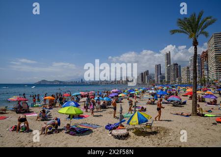 Geografie / Reise, Spanien, Valencia, Alicante, Touristen an der playa Levante, Benidorm, ADDITIONAL-RIGHTS-CLEARANCE-INFO-NOT-AVAILABLE Stockfoto