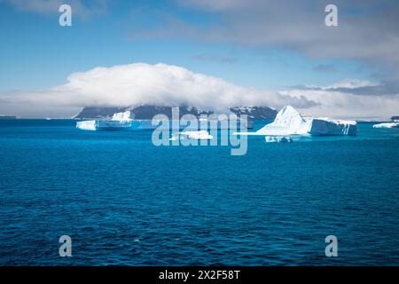 Eisberge im Meer. Brown Bluff, Antarktis. Stockfoto