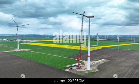 22. April 2024, Sachsen-Anhalt, Bad Lauchstädt: Die letzten Rotorblätter einer Windkraftanlage werden mit einem Kran im Energiepark Bad Lauchstädt installiert (Luftsicht mit Drohne). Der Energiepark Bad Lauchstädt in Mitteldeutschland ist derzeit das Pionierprojekt für Wasserstoff in Deutschland. In diesem Innovationsprojekt wird die Herstellung von grünem Wasserstoff aus Windkraft sowie dessen Speicherung, Transport, Vermarktung und Nutzung erstmals in Mitteldeutschland industriell getestet. Foto: Heiko Rebsch/dpa Stockfoto