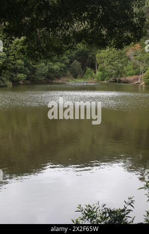 Lagoa Azul in Sintra, Portugal Stockfoto