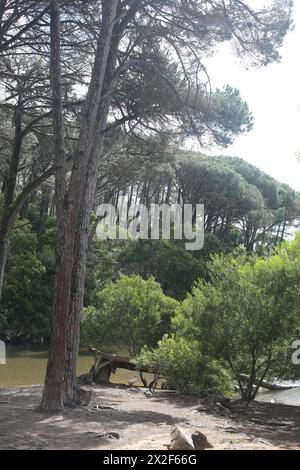 Lagoa Azul in Sintra, Portugal Stockfoto