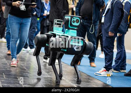 Hannover, Deutschland. April 2024. Ein Roboterhund läuft durch eine Halle auf der Hannover Messe 2024. Kredit: Moritz Frankenberg/dpa/Alamy Live News Stockfoto