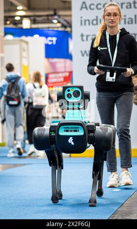 Hannover, Deutschland. April 2024. Ein Roboterhund läuft durch eine Halle auf der Hannover Messe 2024. Kredit: Moritz Frankenberg/dpa/Alamy Live News Stockfoto