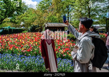 Lisse, Niederlande. April 2024. Eine muslimische Frau posiert für ein Foto vor Tulpen. Keukenhof ist auch als der Garten Europas bekannt, einer der größten Blumengärten der Welt und befindet sich in Lisse.Niederlande.während der fast acht Wochen geöffnet, werden weit über 1,4 Millionen Menschen aus der ganzen Welt die Ausstellung besuchen. Zusätzlich zu den Millionen von Tulpen, Narzissen und Hyazinthen im Park sind die Blumenshows in den Pavillons größer und schöner geworden. Quelle: SOPA Images Limited/Alamy Live News Stockfoto