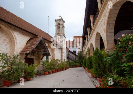 Weinberg auf Zypern Stockfoto