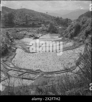 Schwarz-weiß-negativ von Cecil Beaton, der Menschen, Landschaften und kulturelle Elemente in Indien, Birma und China zwischen 1943 und 1944 erfasst. Stockfoto