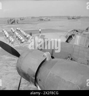 Fallschirmjäger des 6. Royal Welch Fallschirmbataillons trainieren im August 1942 auf dem Ringway, während ein Whitley III-Flugzeug im Vordergrund eingesetzt wird. Stockfoto