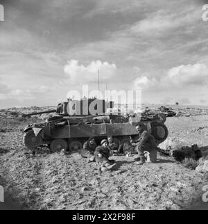 DIE BRITISCHE ARMEE IM TUNESISCHEN FELDZUG, NOVEMBER 1942 bis MAI 1943 – Besatzung eines Valentinspanzers der C-Geschwader eines Regimenters der 6. Panzerdivision, die sich nach einer Aktion in der Nähe von Bou Arada entspannt. Der Soldat auf der rechten Seite hält eine Flasche Johnnie Walker Whisky. Die Schlacht von Bou Arada. Ein von den Deutschen gehaltener Beobachtungsposten war als „Two Tree“ Hill bekannt, da auf seinem höchsten Punkt zwei Bäume wuchsen. Es war wichtig, den Hügel zu nehmen, da er eine vorteilhafte Position hatte, die alle Anstiege über viele Meilen herum befehligte. Am Abend des 10. Januar kam eine Patrouille deutscher Panzer, etwa 15 Stockfoto